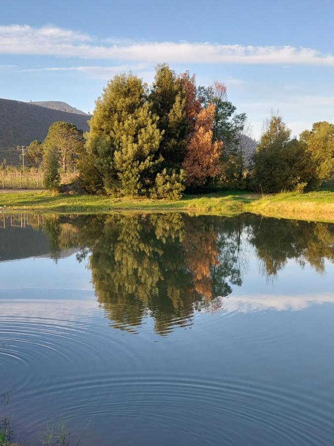 20 Good Summers Farm Stay The Crags Luaran gambar