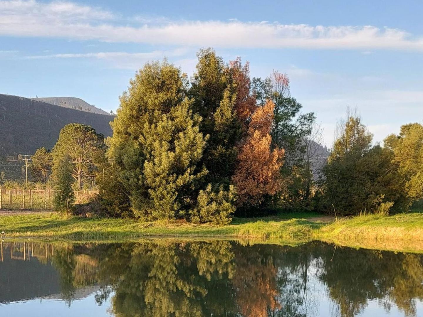 20 Good Summers Farm Stay The Crags Luaran gambar