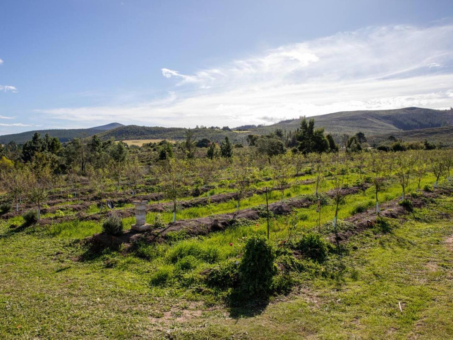 20 Good Summers Farm Stay The Crags Luaran gambar
