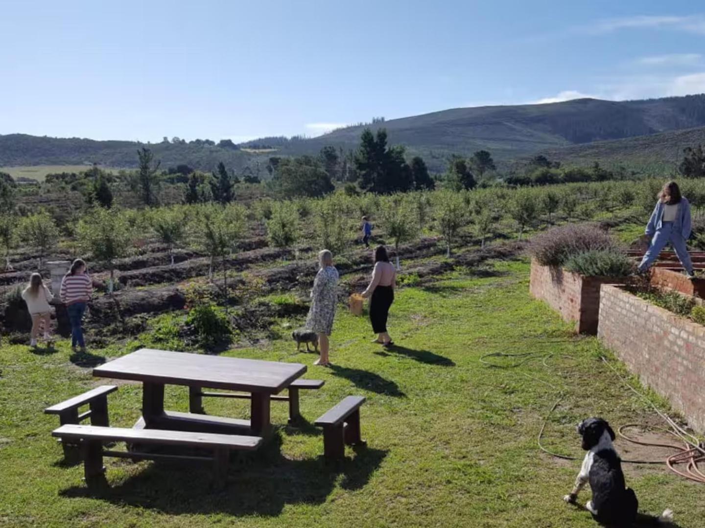 20 Good Summers Farm Stay The Crags Luaran gambar