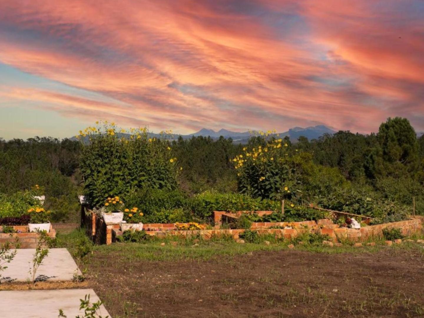 20 Good Summers Farm Stay The Crags Luaran gambar