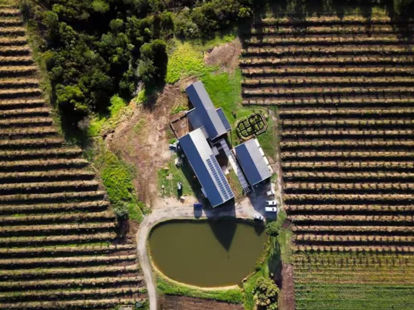 20 Good Summers Farm Stay The Crags Luaran gambar